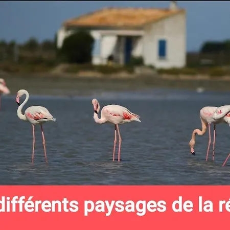 Amenage Sans Wc Sanitaire Et Cuisine, Juste Pour Depanner Quelques Nuits, Prevoir Batterie Externe Pour Les Telephones Merci De Bien Lire Le Descriptif * Montpellier