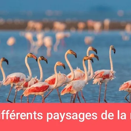 Amenage Sans Wc Sanitaire Et Cuisine, Juste Pour Depanner Quelques Nuits, Prevoir Batterie Externe Pour Les Telephones Merci De Bien Lire Le Descriptif