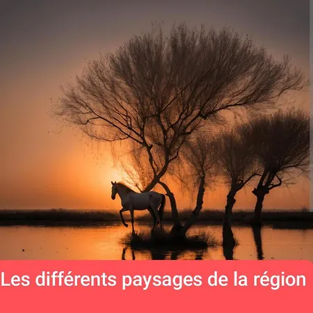 Amenage Sans Wc Sanitaire Et Cuisine, Juste Pour Depanner Quelques Nuits, Prevoir Batterie Externe Pour Les Telephones Merci De Bien Lire Le Descriptif Montpellier